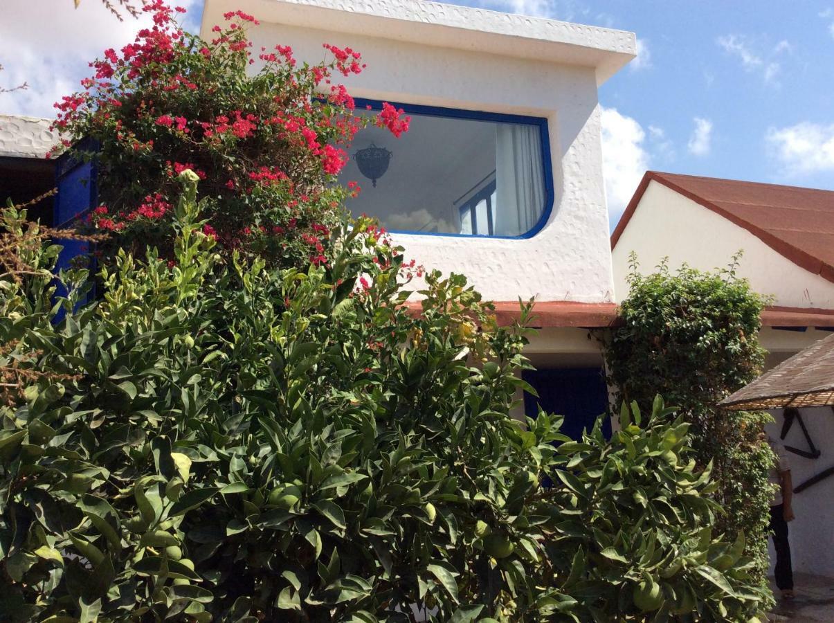 La Casa De Las Higueras Dar Karmus Tétouan Exteriör bild