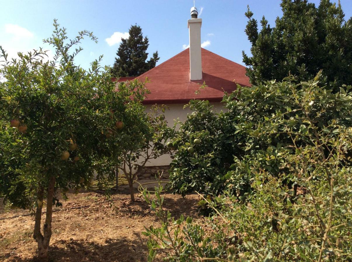 La Casa De Las Higueras Dar Karmus Tétouan Exteriör bild