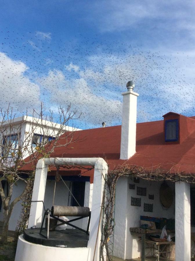La Casa De Las Higueras Dar Karmus Tétouan Exteriör bild