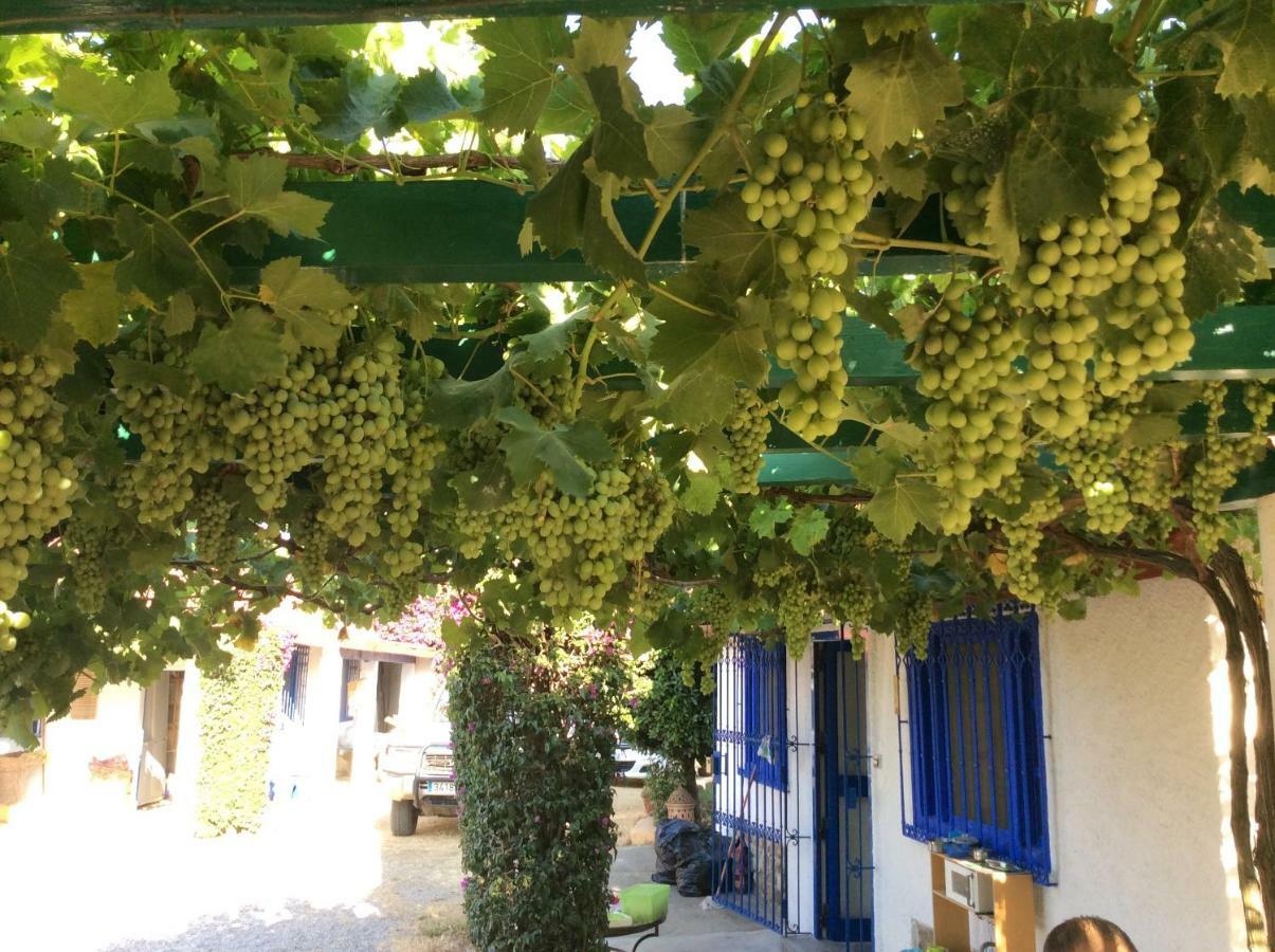 La Casa De Las Higueras Dar Karmus Tétouan Exteriör bild
